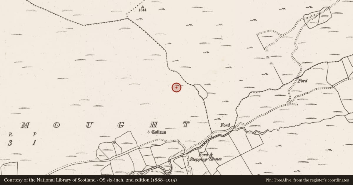 Ordnance Survey six-inch map, 2nd edition (1888–1915) covering the location of Enclosure, Ballynamought, County Cork, with a pin at the register's coordinates