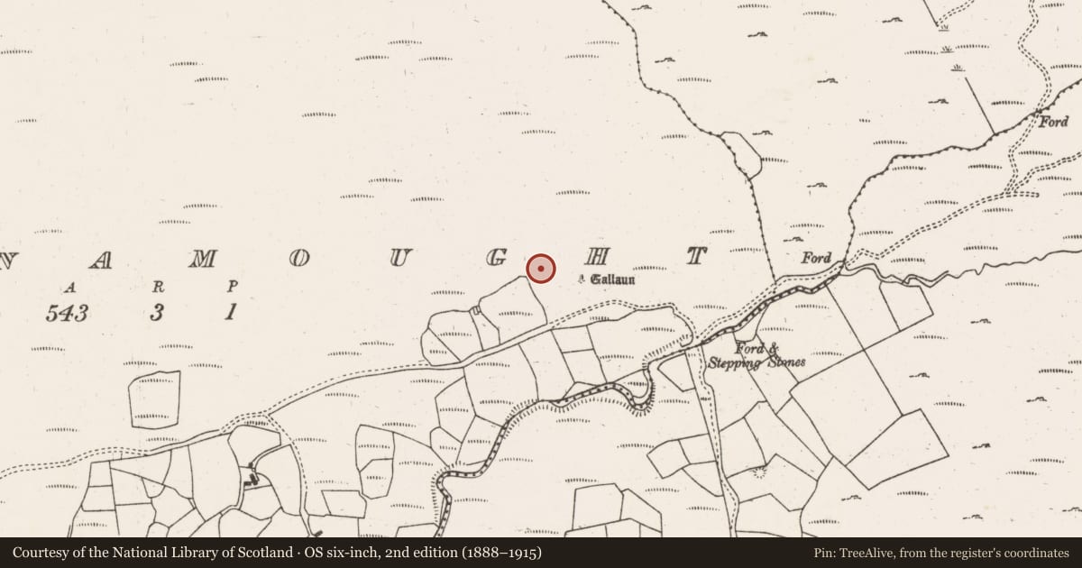 Ordnance Survey six-inch map, 2nd edition (1888–1915) covering the location of Field boundary, Ballynamought, County Cork, with a pin at the register's coordinates