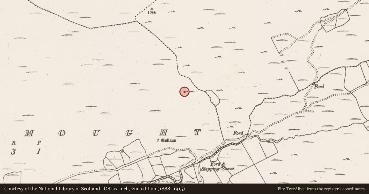 Ordnance Survey six-inch map, 2nd edition (1888–1915) covering the location of Enclosure, Ballynamought, County Cork, with a pin at the register's coordinates