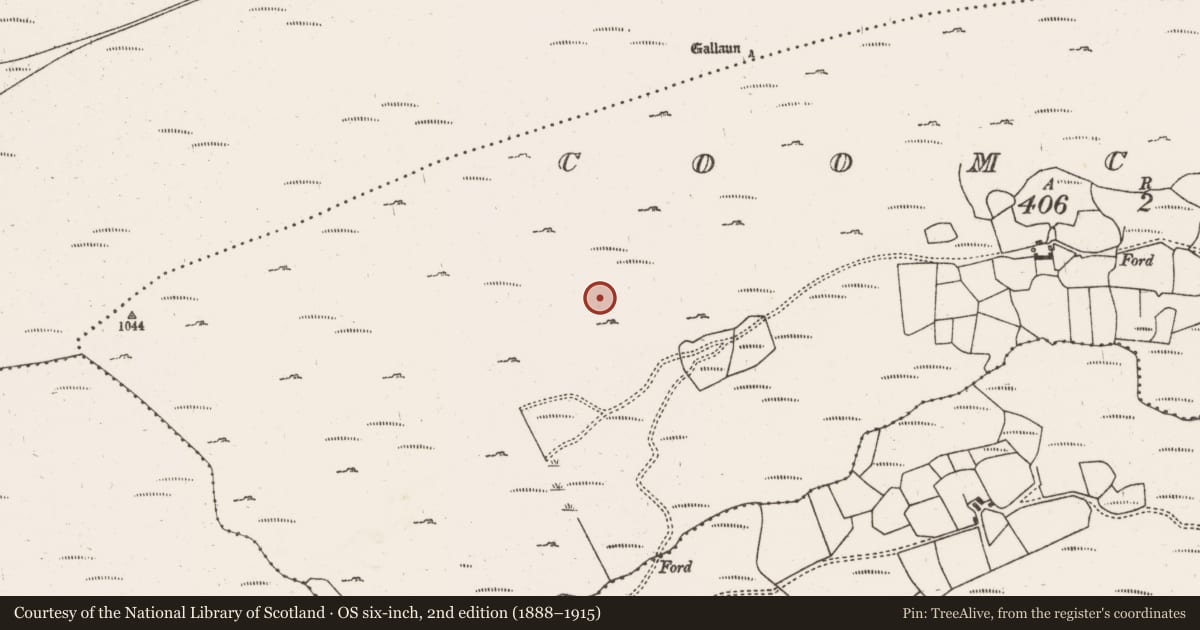 Ordnance Survey six-inch map, 2nd edition (1888–1915) covering the location of Field boundary, Coomclogh, County Cork, with a pin at the register's coordinates