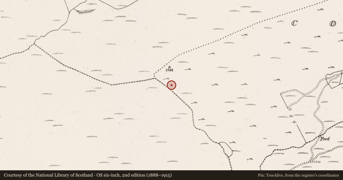 Ordnance Survey six-inch map, 2nd edition (1888–1915) covering the location of Hut site, Coomclogh, County Cork, with a pin at the register's coordinates