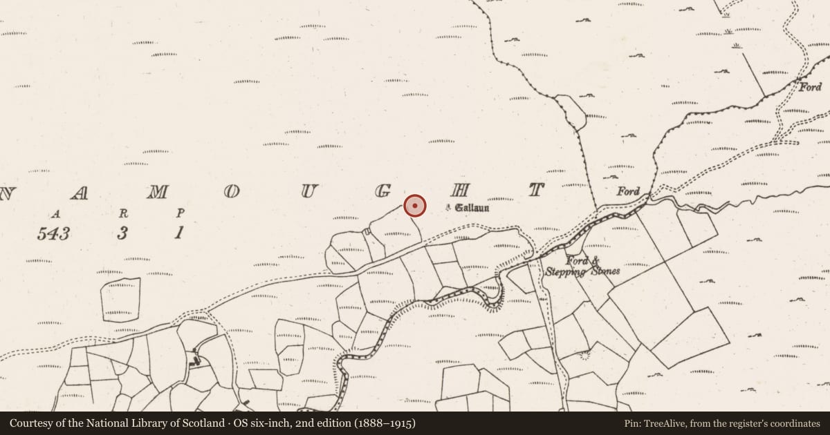 Ordnance Survey six-inch map, 2nd edition (1888–1915) covering the location of Hut site, Ballynamought, County Cork, with a pin at the register's coordinates
