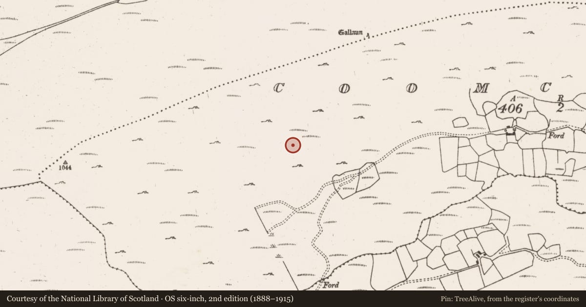 Ordnance Survey six-inch map, 2nd edition (1888–1915) covering the location of Field boundary, Coomclogh, County Cork, with a pin at the register's coordinates