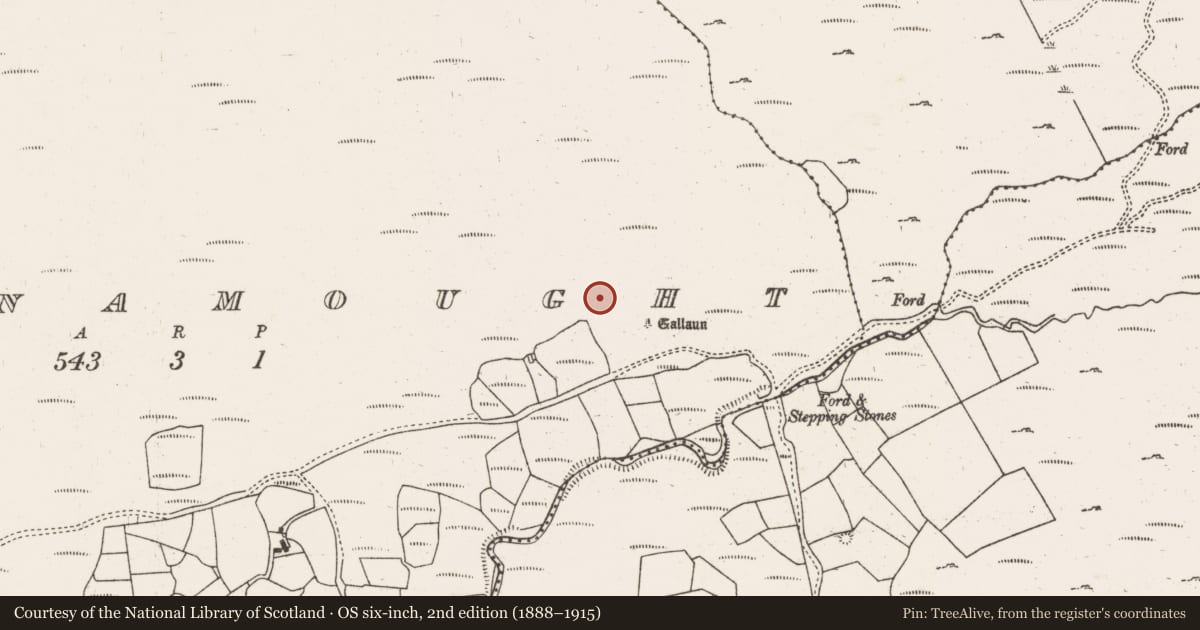 Ordnance Survey six-inch map, 2nd edition (1888–1915) covering the location of Field boundary, Ballynamought, County Cork, with a pin at the register's coordinates