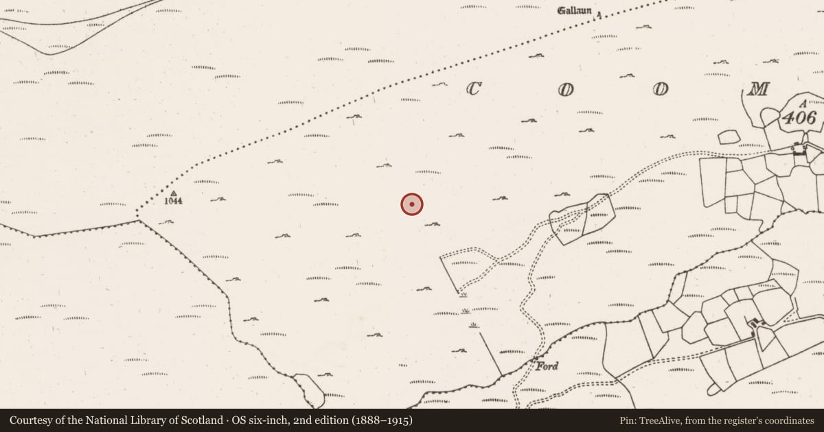 Ordnance Survey six-inch map, 2nd edition (1888–1915) covering the location of Hut site, Coomclogh, County Cork, with a pin at the register's coordinates