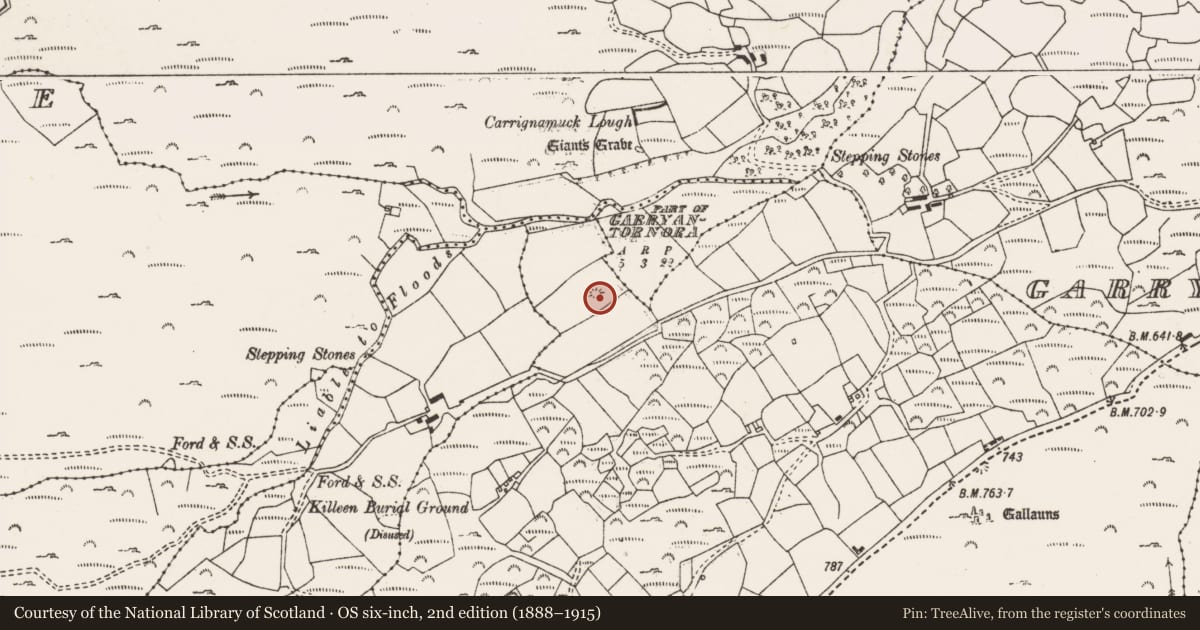 Ordnance Survey six-inch map, 2nd edition (1888–1915) covering the location of Burial ground, Cornaire, County Cork, with a pin at the register's coordinates