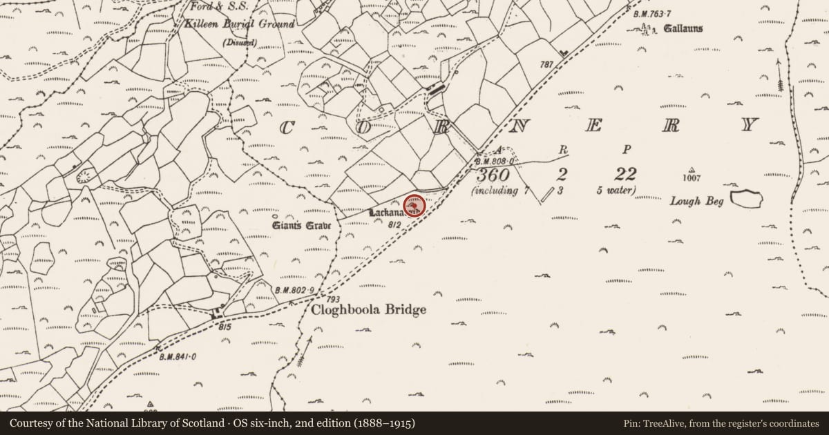 Ordnance Survey six-inch map, 2nd edition (1888–1915) covering the location of Megalithic tomb - wedge tomb, Cornaire, County Cork, with a pin at the register's coordinates