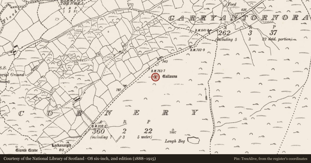 Ordnance Survey six-inch map, 2nd edition (1888–1915) covering the location of Megalithic tomb - wedge tomb, Cornaire, County Cork, with a pin at the register's coordinates