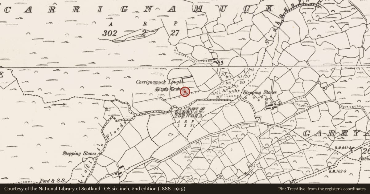 Ordnance Survey six-inch map, 2nd edition (1888–1915) covering the location of Megalithic tomb - wedge tomb, Carraig Na Muc, County Cork, with a pin at the register's coordinates