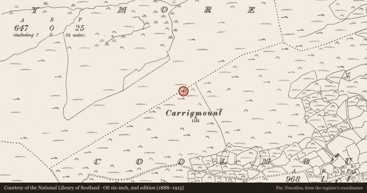 Ordnance Survey six-inch map, 2nd edition (1888–1915) covering the location of Enclosure, Coolmountain, Shehy More, County Cork, with a pin at the register's coordinates