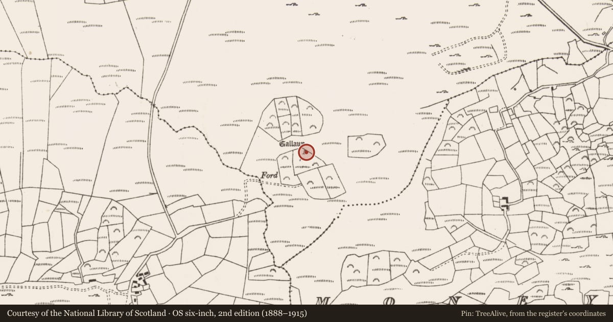 Ordnance Survey six-inch map, 2nd edition (1888–1915) covering the location of Standing stone, Coolmountain, County Cork, with a pin at the register's coordinates