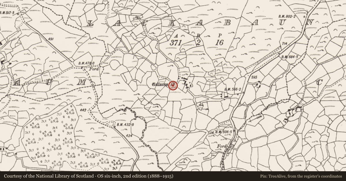 Ordnance Survey six-inch map, 2nd edition (1888–1915) covering the location of Standing stone - pair, Lackabaun, County Cork, with a pin at the register's coordinates