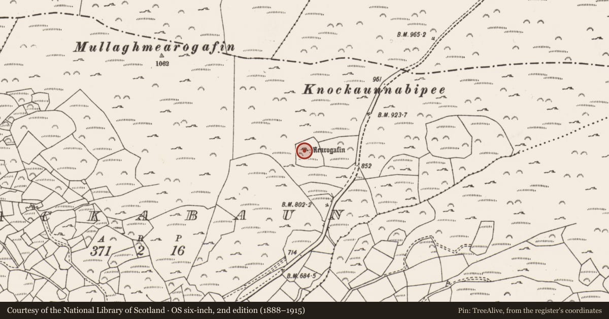 Ordnance Survey six-inch map, 2nd edition (1888–1915) covering the location of Megalithic tomb - wedge tomb, Lackabaun, County Cork, with a pin at the register's coordinates
