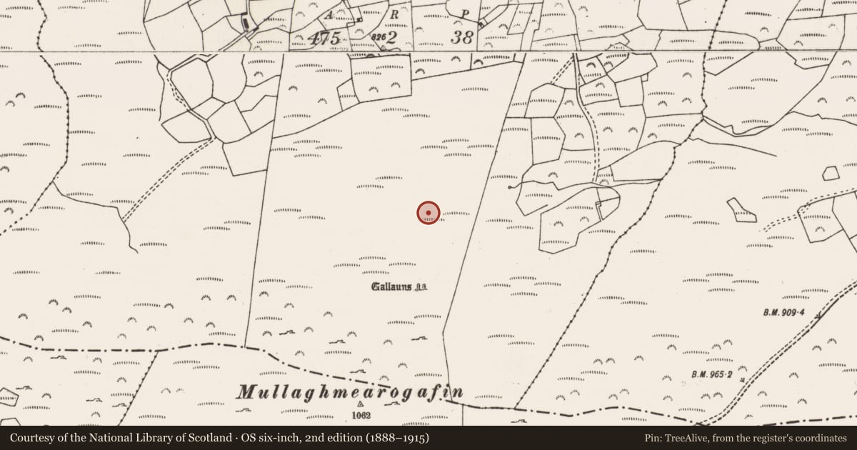 Ordnance Survey six-inch map, 2nd edition (1888–1915) covering the location of Megalithic tomb - wedge tomb, Monavaddra, County Cork, with a pin at the register's coordinates