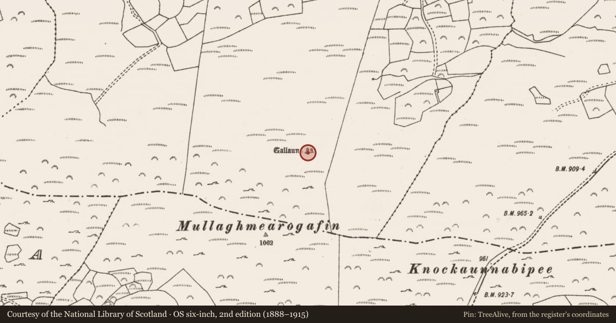 Ordnance Survey six-inch map, 2nd edition (1888–1915) covering the location of Stone row, Monavaddra, County Cork, with a pin at the register's coordinates
