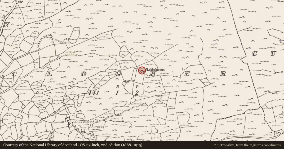 Ordnance Survey six-inch map, 2nd edition (1888–1915) covering the location of Rock art, Clogher, County Cork, with a pin at the register's coordinates