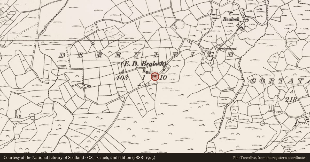 Ordnance Survey six-inch map, 2nd edition (1888–1915) covering the location of Standing stone, Derryleigh (Muskerry West By., Inchigeelagh Par.), County Cork, with a pin at the register's coordinates