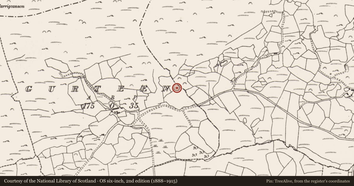 Ordnance Survey six-inch map, 2nd edition (1888–1915) covering the location of Ringfort - cashel, Gurteen, County Cork, with a pin at the register's coordinates
