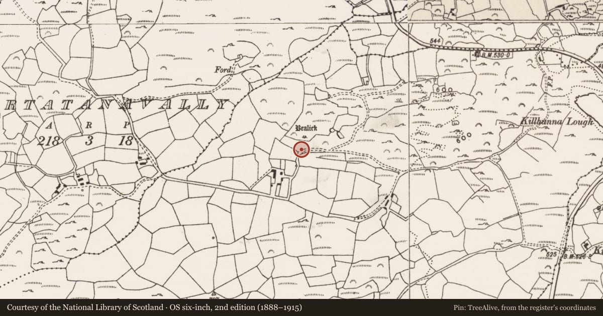 Ordnance Survey six-inch map, 2nd edition (1888–1915) covering the location of Megalithic tomb - wedge tomb, Carrigdangan, County Cork, with a pin at the register's coordinates