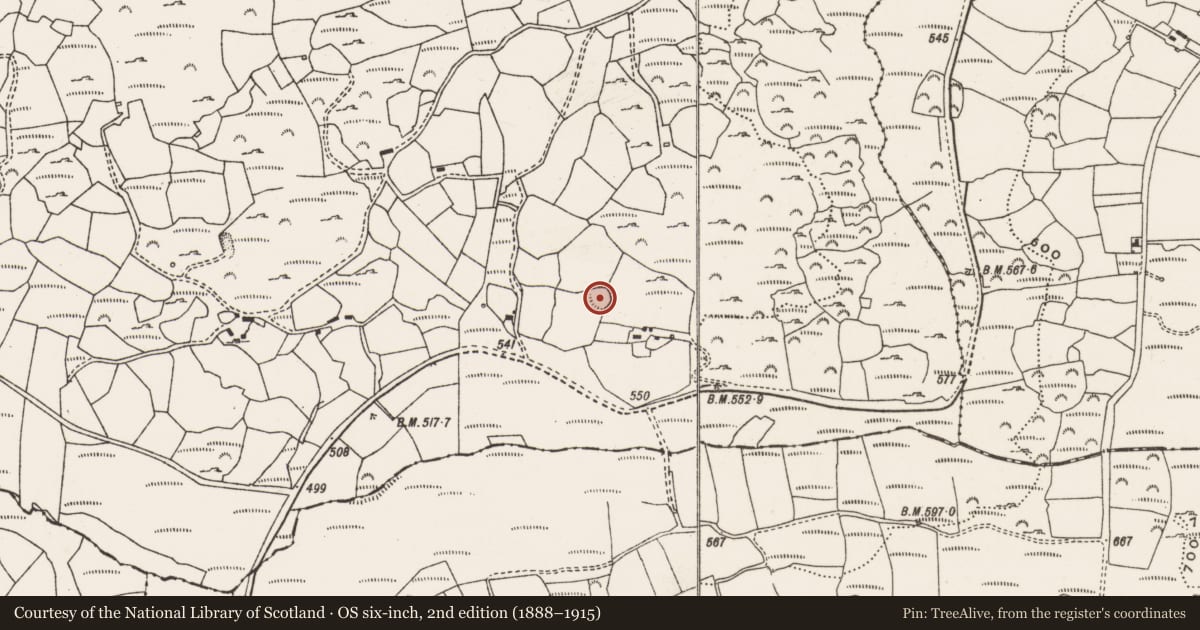 Ordnance Survey six-inch map, 2nd edition (1888–1915) covering the location of Ringfort - rath, Carrigdangan, County Cork, with a pin at the register's coordinates