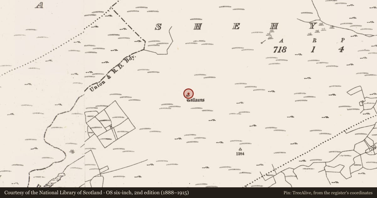 Ordnance Survey six-inch map, 2nd edition (1888–1915) covering the location of Standing stone - pair, Shehy Beg, County Cork, with a pin at the register's coordinates