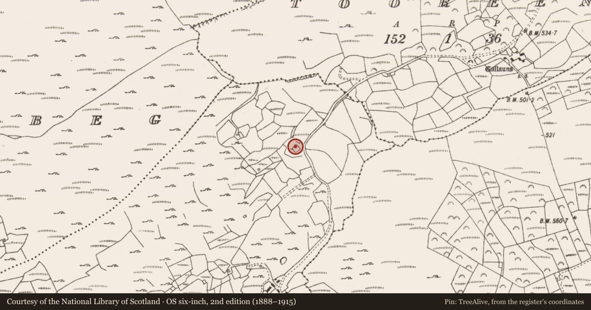 Ordnance Survey six-inch map, 2nd edition (1888–1915) covering the location of Enclosure, Shanacrane West, County Cork, with a pin at the register's coordinates