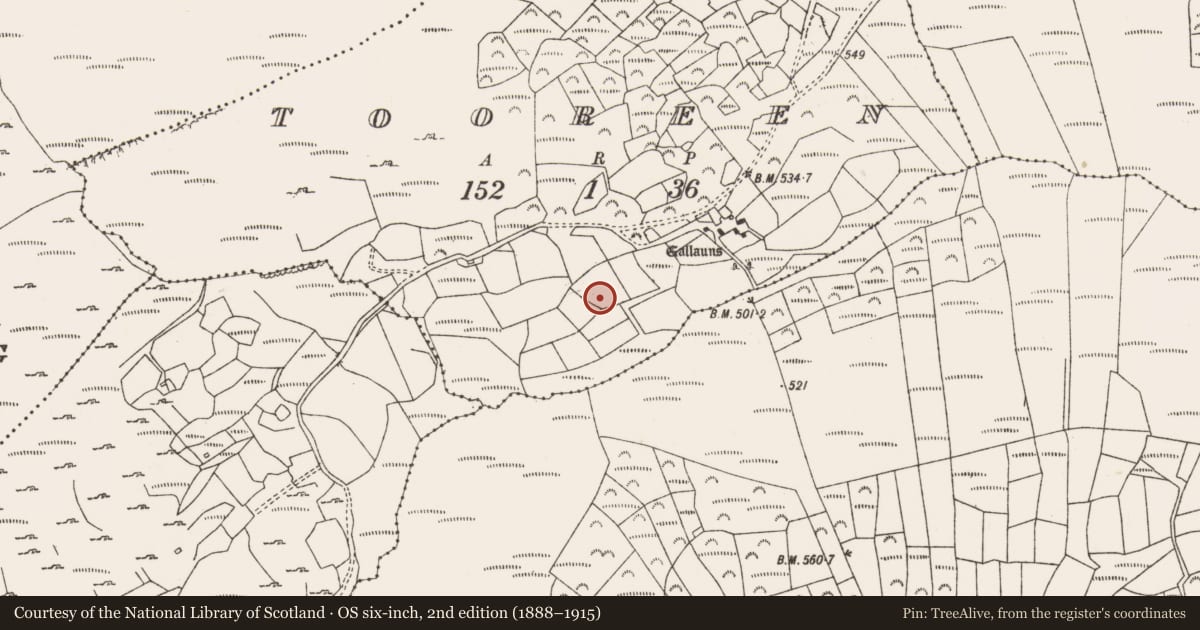 Ordnance Survey six-inch map, 2nd edition (1888–1915) covering the location of Standing stone, Tooreen (Carberry East, Western Division), County Cork, with a pin at the register's coordinates