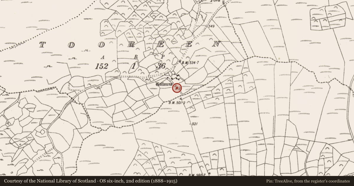 Ordnance Survey six-inch map, 2nd edition (1888–1915) covering the location of Standing stone, Tooreen (Carberry East, Western Division), County Cork, with a pin at the register's coordinates