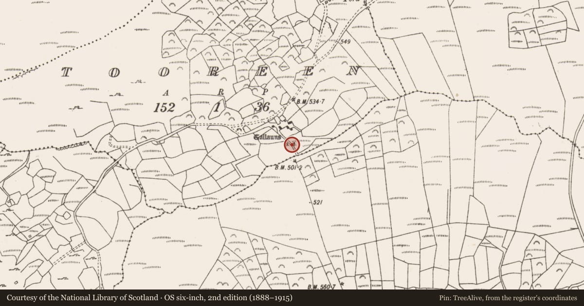 Ordnance Survey six-inch map, 2nd edition (1888–1915) covering the location of Anomalous stone group, Tooreen (Carberry East, Western Division), County Cork, with a pin at the register's coordinates