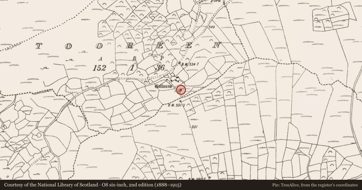 Ordnance Survey six-inch map, 2nd edition (1888–1915) covering the location of Standing stone, Tooreen (Carberry East, Western Division), County Cork, with a pin at the register's coordinates