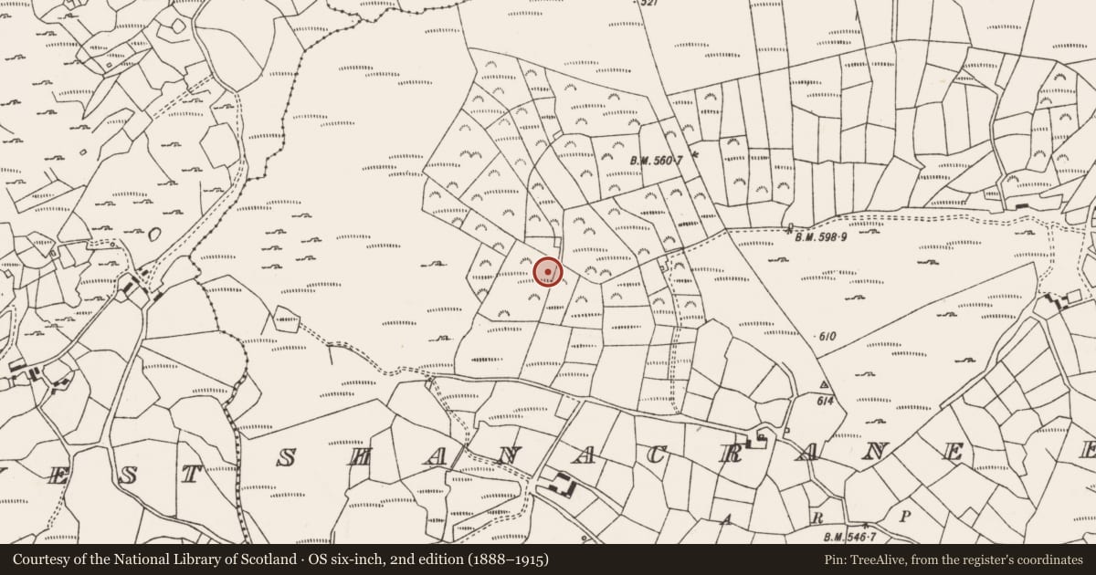 Ordnance Survey six-inch map, 2nd edition (1888–1915) covering the location of Ringfort - rath, Shanacrane East, County Cork, with a pin at the register's coordinates