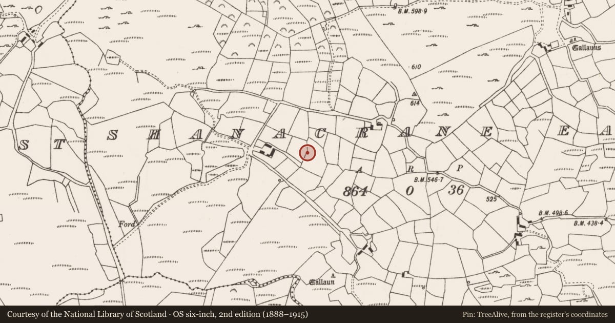 Ordnance Survey six-inch map, 2nd edition (1888–1915) covering the location of Fulacht fia, Shanacrane East, County Cork, with a pin at the register's coordinates