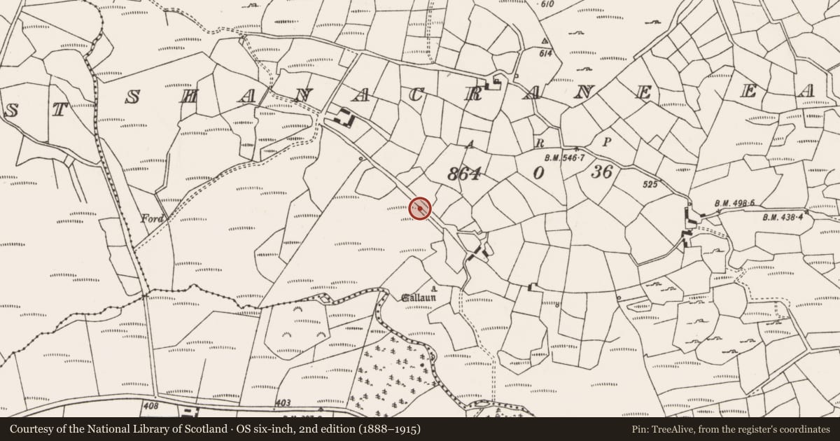 Ordnance Survey six-inch map, 2nd edition (1888–1915) covering the location of Kiln - lime, Shanacrane East, County Cork, with a pin at the register's coordinates