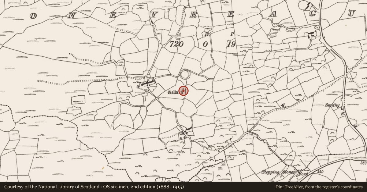 Ordnance Survey six-inch map, 2nd edition (1888–1915) covering the location of Cremation pit, Moneyreague, County Cork, with a pin at the register's coordinates