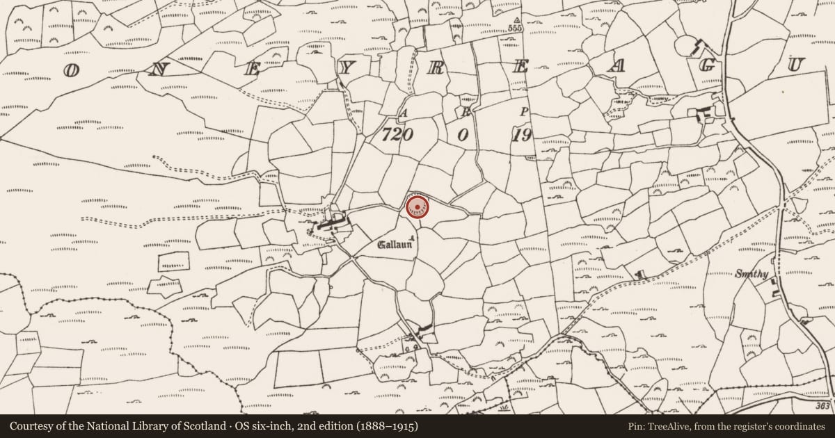 Ordnance Survey six-inch map, 2nd edition (1888–1915) covering the location of Ringfort - rath, Moneyreague, County Cork, with a pin at the register's coordinates