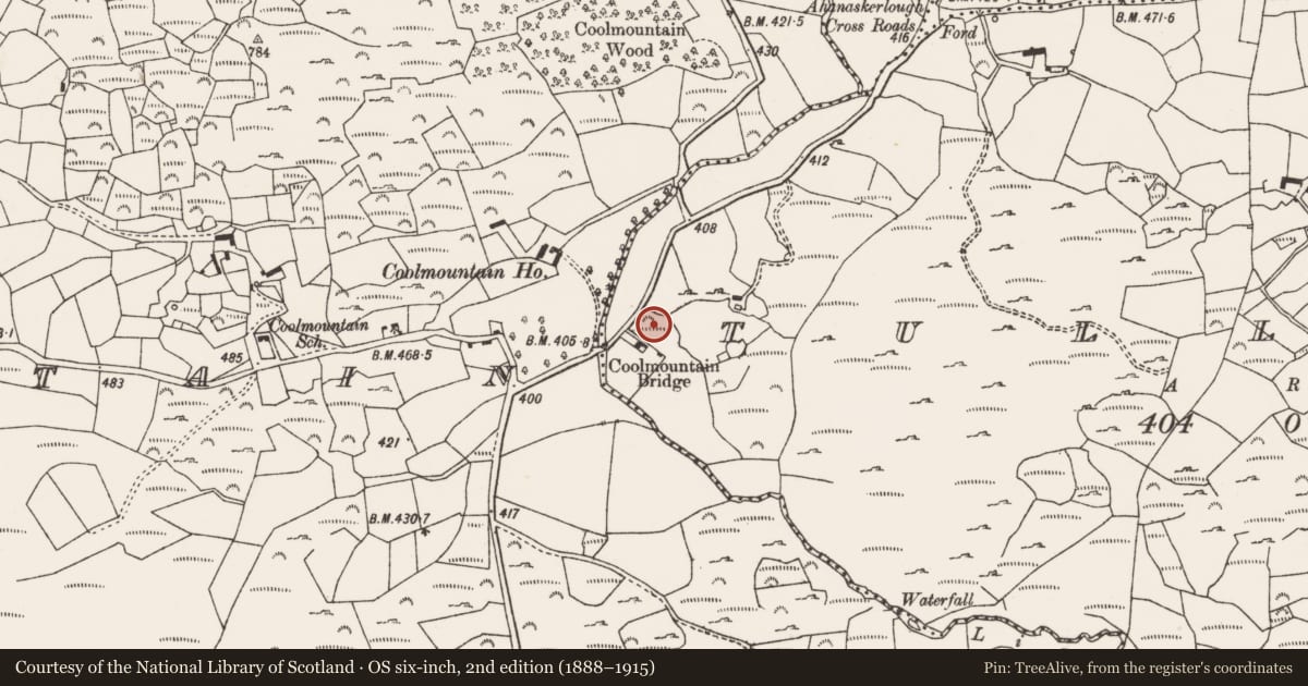 Ordnance Survey six-inch map, 2nd edition (1888–1915) covering the location of Standing stone, Tullagh, County Cork, with a pin at the register's coordinates
