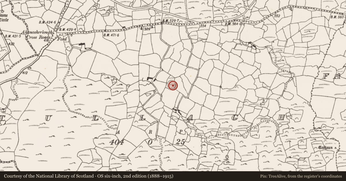 Ordnance Survey six-inch map, 2nd edition (1888–1915) covering the location of Ringfort - rath, Tullagh, County Cork, with a pin at the register's coordinates