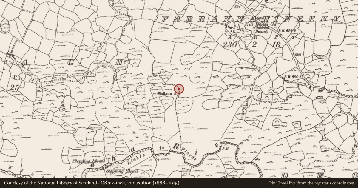 Ordnance Survey six-inch map, 2nd edition (1888–1915) covering the location of Fulacht fia, Tullagh, County Cork, with a pin at the register's coordinates