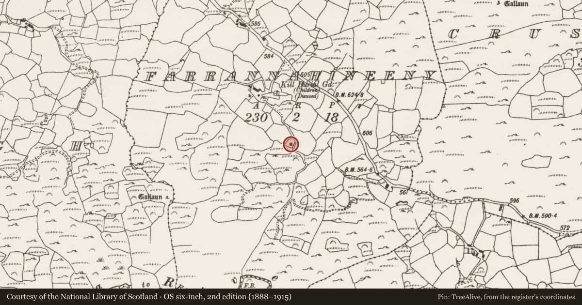 Ordnance Survey six-inch map, 2nd edition (1888–1915) covering the location of Standing stone, Farrannahineeny, County Cork, with a pin at the register's coordinates