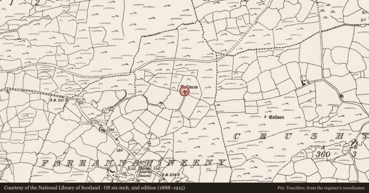 Ordnance Survey six-inch map, 2nd edition (1888–1915) covering the location of Stone row, Farrannahineeny, County Cork, with a pin at the register's coordinates