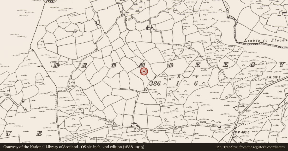 Ordnance Survey six-inch map, 2nd edition (1888–1915) covering the location of Ringfort - cashel, Dromdeegy, County Cork, with a pin at the register's coordinates