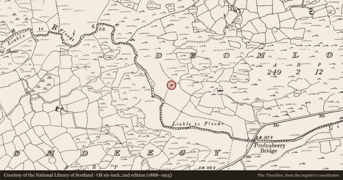Ordnance Survey six-inch map, 2nd edition (1888–1915) covering the location of Barrow - ring-barrow, Dromlough, County Cork, with a pin at the register's coordinates