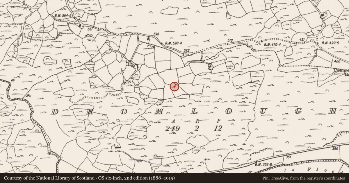 Ordnance Survey six-inch map, 2nd edition (1888–1915) covering the location of Ringfort - rath, Dromlough, County Cork, with a pin at the register's coordinates