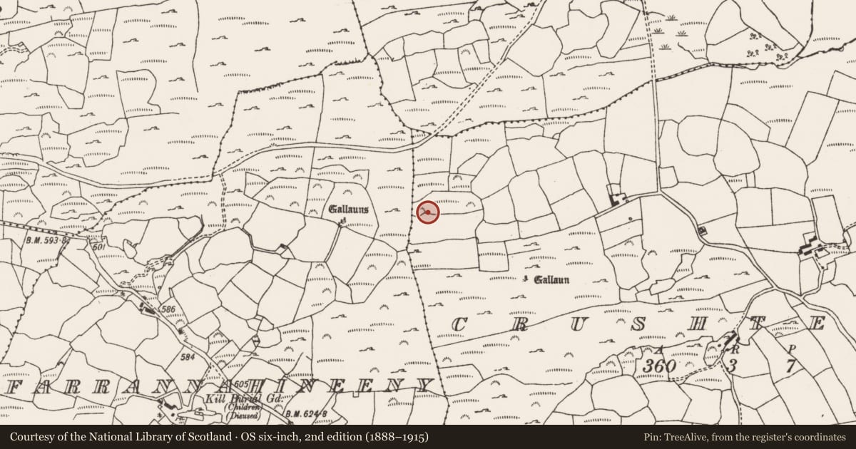 Ordnance Survey six-inch map, 2nd edition (1888–1915) covering the location of Enclosure, Crushterra, County Cork, with a pin at the register's coordinates