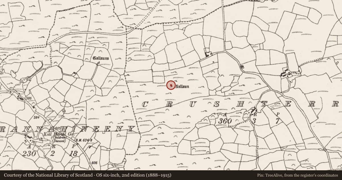 Ordnance Survey six-inch map, 2nd edition (1888–1915) covering the location of Ogham stone, Crushterra, County Cork, with a pin at the register's coordinates