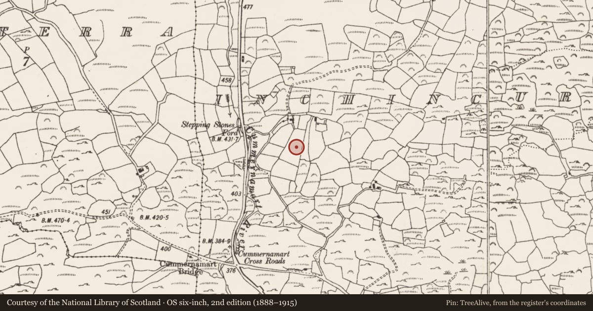 Ordnance Survey six-inch map, 2nd edition (1888–1915) covering the location of Souterrain, Inchincurka, County Cork, with a pin at the register's coordinates