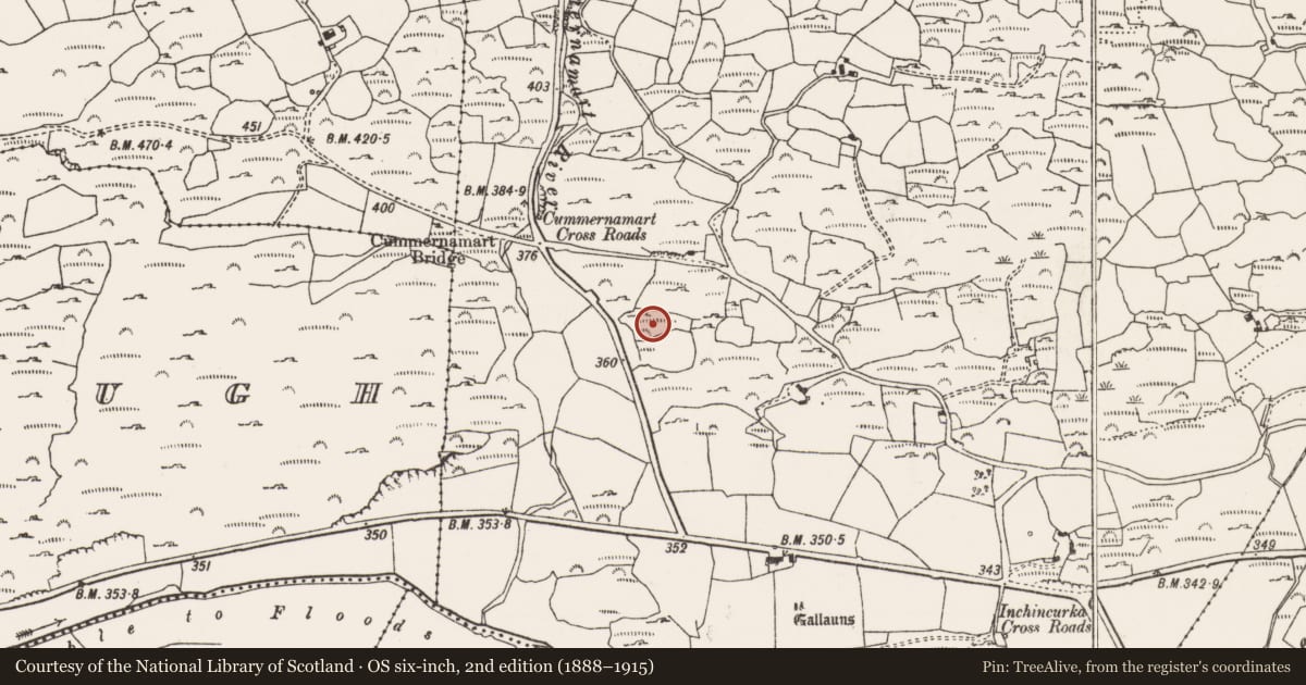 Ordnance Survey six-inch map, 2nd edition (1888–1915) covering the location of Souterrain, Inchincurka, County Cork, with a pin at the register's coordinates