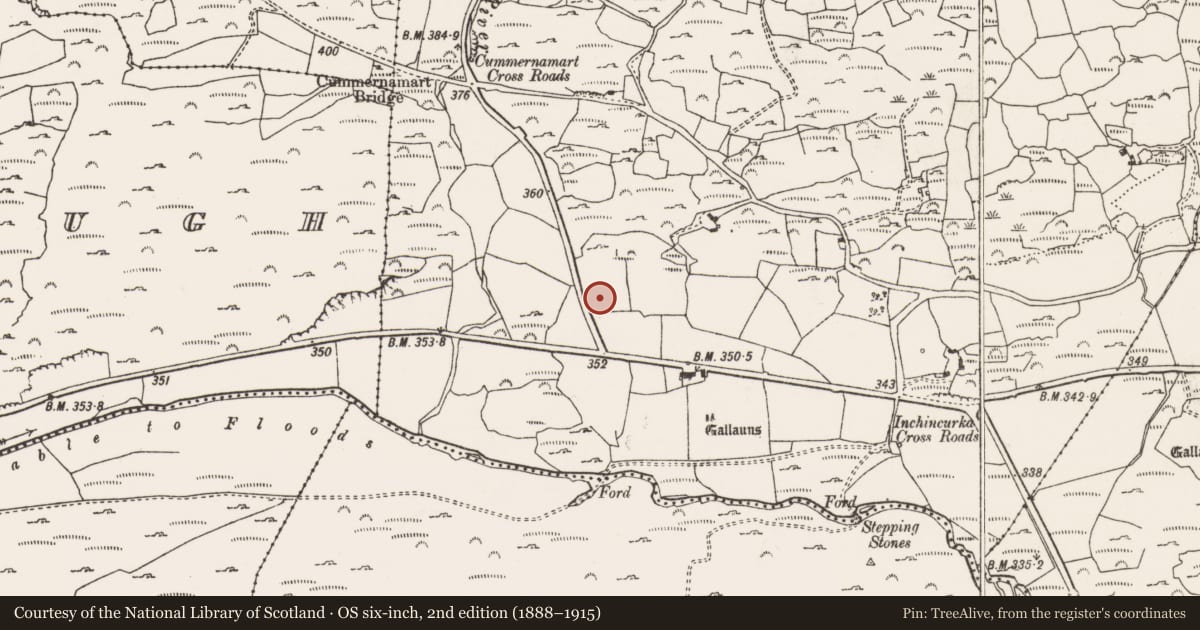 Ordnance Survey six-inch map, 2nd edition (1888–1915) covering the location of Fulacht fia, Inchincurka, County Cork, with a pin at the register's coordinates