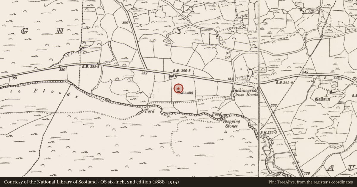 Ordnance Survey six-inch map, 2nd edition (1888–1915) covering the location of Standing stone, Inchincurka, County Cork, with a pin at the register's coordinates