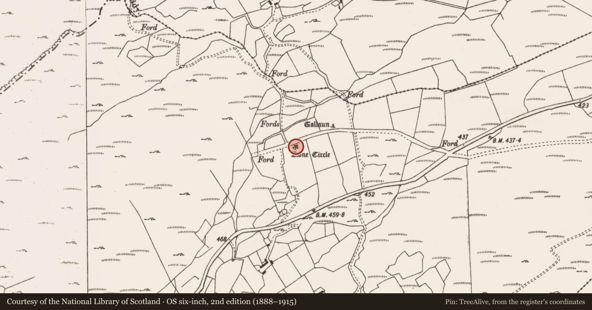 Ordnance Survey six-inch map, 2nd edition (1888–1915) covering the location of Anomalous stone group, Glanycarney, County Cork, with a pin at the register's coordinates